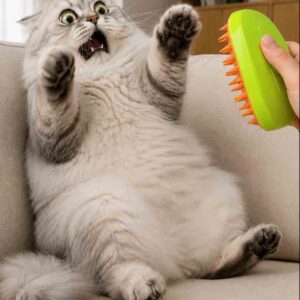 AquaSteam Pet Brush